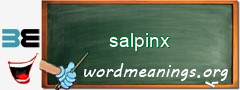 WordMeaning blackboard for salpinx